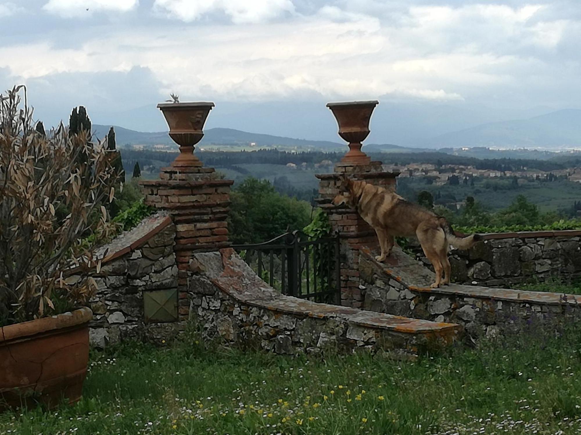 Agriturismo Podere La Cava Mercatale Val Di Pesa Extérieur photo